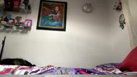 Snapshot of angelicfxxt chatting on January 2025 05:56:01 AM angelicfxxt online show from January 2025 05:56:01 AM