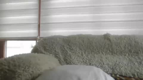 Snapshot of angelps1960 chatting on February 2026 10:02:01 AM angelps1960 online show from February 2026 10:02:01 AM