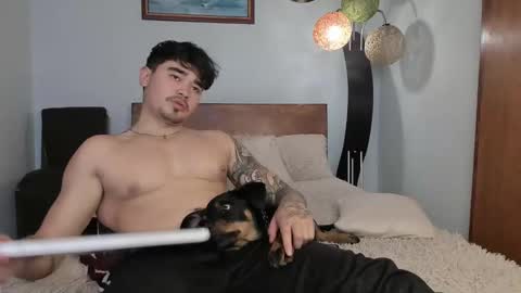 Angel Fox online show from December 2024 06:17:02 PM