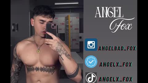 Angel Fox online show from September 2025 10:15:02 AM