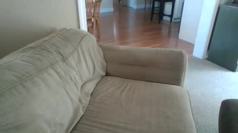 Snapshot of angh21 chatting on May 2026 02:24:02 PM Bill M. online show from May 2026 02:24:02 PM