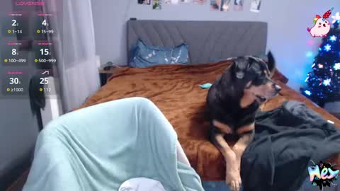 Snapshot of anna_ana chatting on December 2024 10:34:02 PM Anadirectgirl online show from December 2024 10:34:02 PM