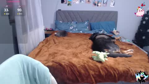 Snapshot of anna_ana chatting on January 2025 06:41:02 PM Anadirectgirl online show from January 2025 06:41:02 PM