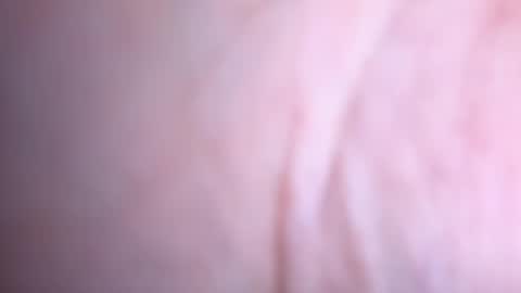 Snapshot of annaa__ chatting on January 2025 02:41:01 AM annaa__ online show from January 2025 02:41:01 AM