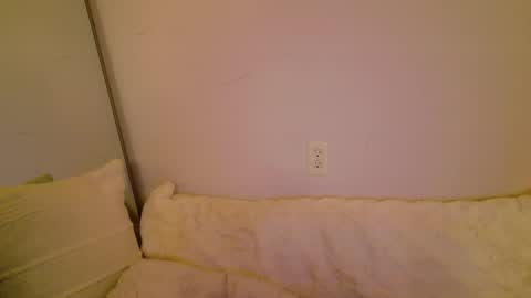 meow online show from November 2025 05:29:02 AM