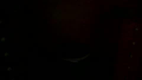 annecharlie online show from November 2025 07:56:01 AM