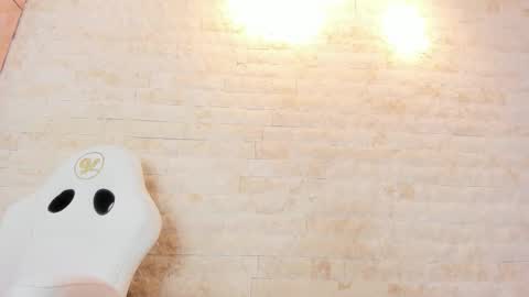 Snapshot of annie_shine_ chatting on March 2026 02:33:02 PM ANNIE online show from March 2026 02:33:02 PM