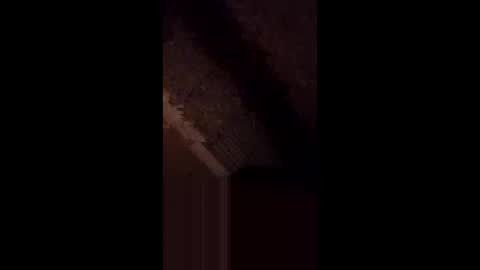 anniebunni online show from February 2026 05:36:02 AM