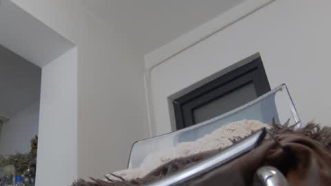 Anna online show from December 2024 08:41:01 AM