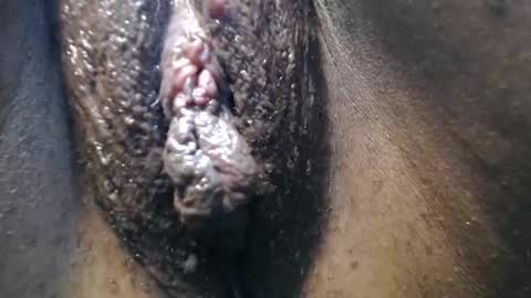 Anny online show from September 2025 08:49:01 AM