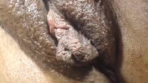 Anny online show from December 2025 05:53:01 PM