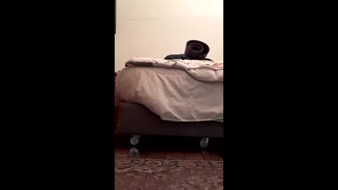 antonino85 online show from February 2026 05:17:02 PM