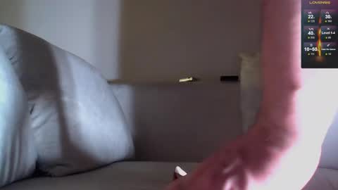 antonni_ online show from February 2025 12:41:01 AM