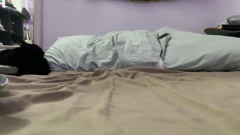 cowboy online show from December 2025 09:29:01 AM