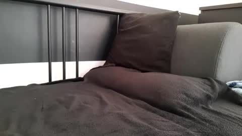 apollobest77 online show from November 2025 02:40:02 PM