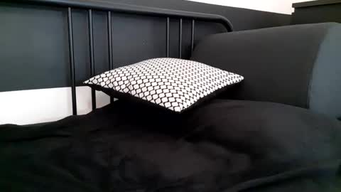 apollobest77 online show from February 2026 02:43:01 PM