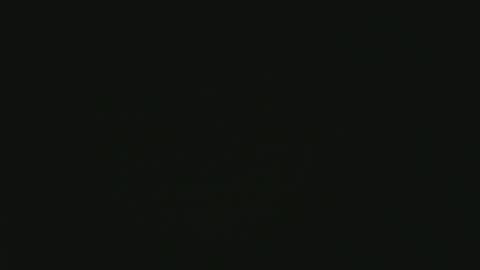 apollonfitx_69 online show from January 2025 11:13:02 PM