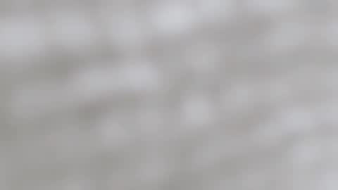 April online show from December 2024 12:34:01 AM