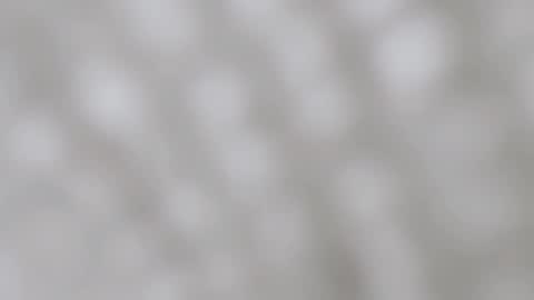 April online show from December 2024 11:54:01 PM