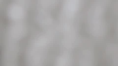 April online show from December 2024 03:00:02 AM