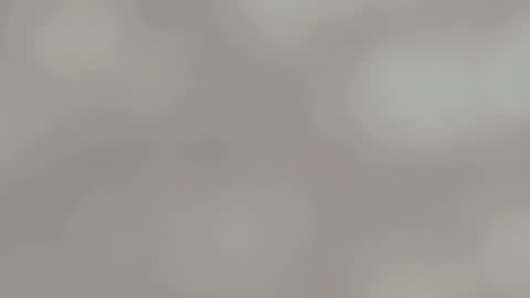 April online show from January 2025 04:57:02 AM