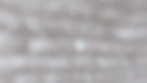 April online show from February 2025 07:07:01 AM