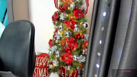 Snapshot of aprilpalmers chatting on December 2024 04:06:01 PM Danna online show from December 2024 04:06:01 PM