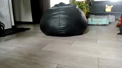Snapshot of aquiles0224 chatting on June 2026 04:44:01 PM T. online show from June 2026 04:44:01 PM