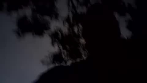 ARCHANGEL MICHAEl online show from January 2025 11:34:02 AM