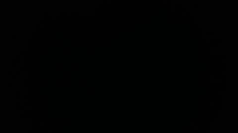 Snapshot of ares_xxxx chatting on January 2025 02:39:01 PM ARES online show from January 2025 02:39:01 PM