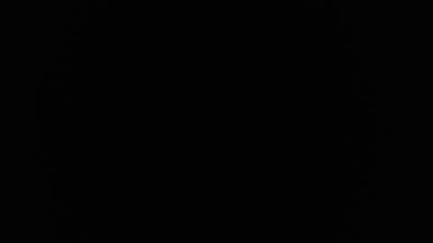 Snapshot of ares_xxxx chatting on February 2025 12:08:01 PM ARES online show from February 2025 12:08:01 PM