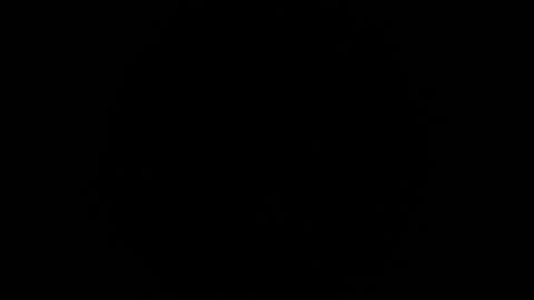 Snapshot of ares_xxxx chatting on February 2025 12:39:02 PM ARES online show from February 2025 12:39:02 PM