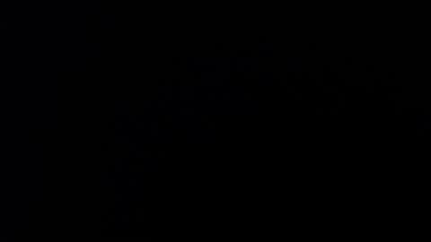 ARIANNA  online show from March 2026 02:06:02 AM