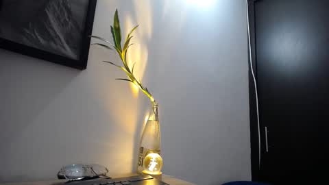 Snapshot of aria_jhonsson777 chatting on January 2026 04:09:02 PM 777 online show from January 2026 04:09:02 PM