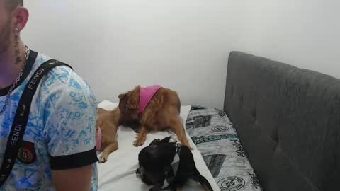 Snapshot of ariana_esteban07 chatting on February 2026 10:29:01 AM ariana_esteban07 online show from February 2026 10:29:01 AM