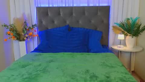 Ariana online show from February 2026 11:55:01 PM