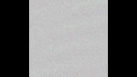 Arianna Collins online show from November 2025 11:21:01 AM