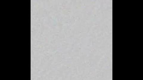 Arianna Collins online show from December 2025 11:39:02 AM