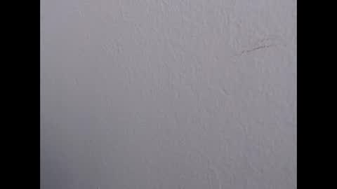 ariannaloovel online show from May 2026 05:52:01 PM
