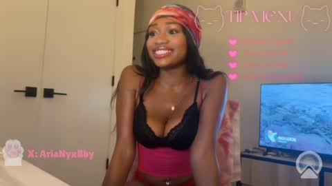 Snapshot of arianyxbby chatting on July 2026 03:12:01 AM Aria Nyx online show from July 2026 03:12:01 AM