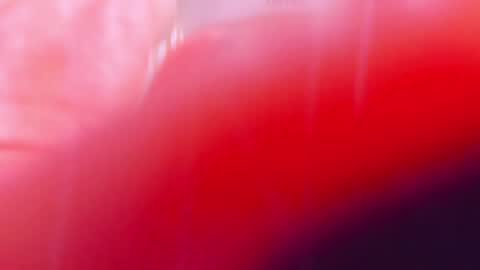 Snapshot of ariellablonde chatting on March 2025 12:40:02 AM AriellaBlonde online show from March 2025 12:40:02 AM