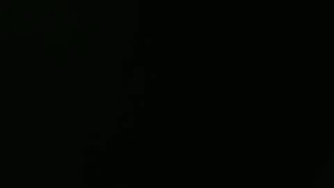 Ariel Starfish online show from March 2026 02:04:02 AM