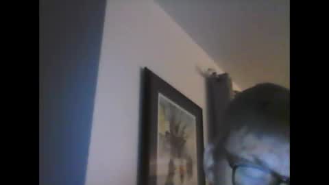 ariens online show from January 2025 06:45:01 AM