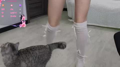 Ariadna online show from February 2025 04:37:02 AM