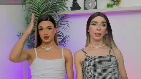   Nice to meet you  thumb up me please its important I  LOOK MY BIO DOWN online show from December 2024 02:42:02 PM