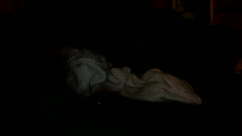 arley1966 online show from November 2025 02:43:02 AM