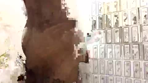 Snapshot of aron_7 chatting on February 2025 07:35:02 PM aron_7 online show from February 2025 07:35:02 PM