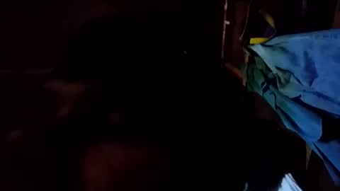 Snapshot of arvy95198 chatting on October 2025 11:15:01 PM arvy95198 online show from October 2025 11:15:01 PM