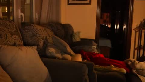 Snapshot of ascbi chatting on January 2025 06:08:02 PM Troy online show from January 2025 06:08:02 PM