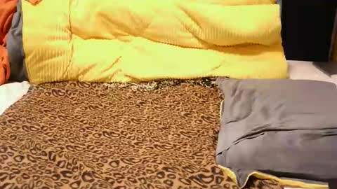 ashlery  online show from November 2025 04:18:01 AM